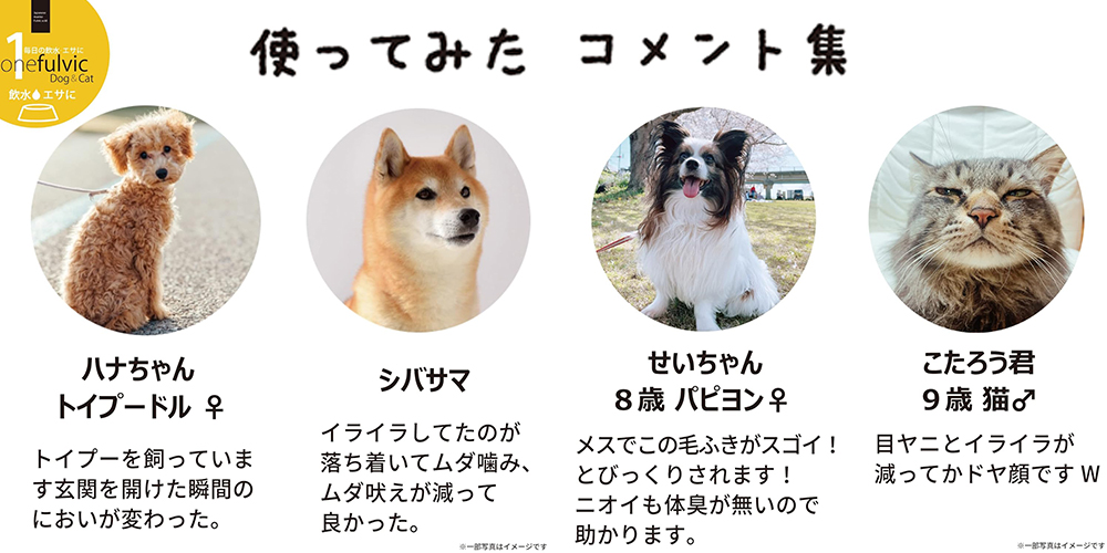 使ってみたコメント集