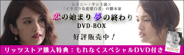 夢の終わり　恋の始まり　DVD-BOX